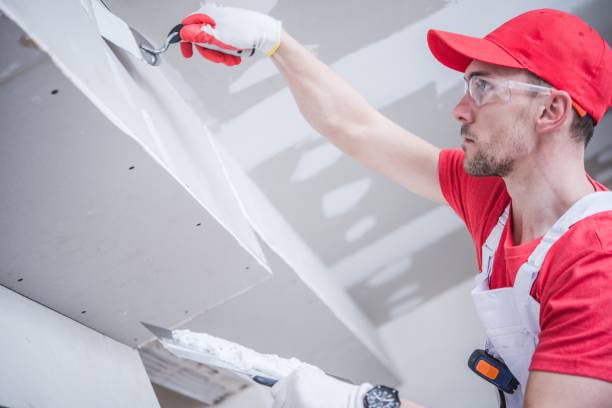 Best Commercial Painting  in Ellisville, MO